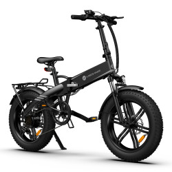 Le A20FXE est un vélo à Assistance Electrique (VAE) très polyvalent. Il est bénéficie de plusieurs options.